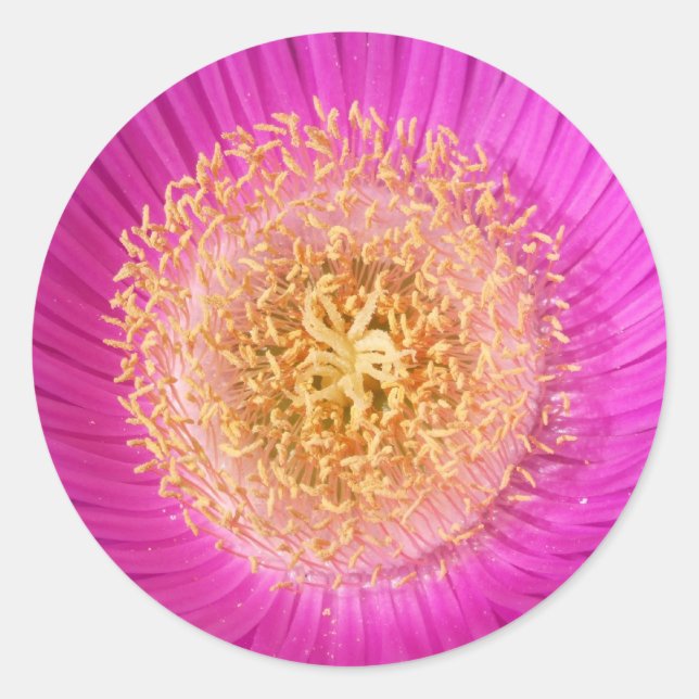 Aufkleber für die Blume in Rosa (Vorderseite)