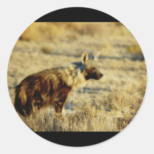 Aufkleber für die Braunen Hyena