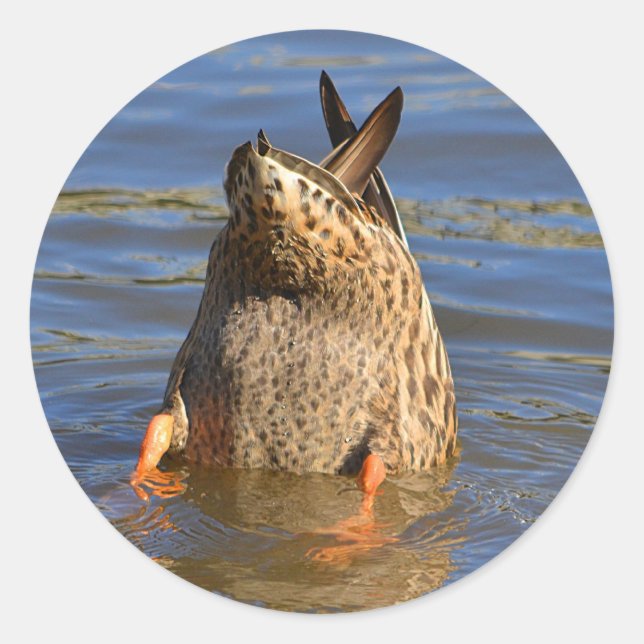 Aufkleber für die Fäden (Vorderseite)