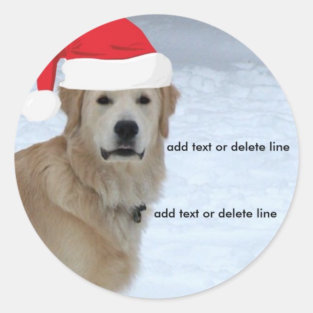 Aufkleber für die Golden Retriever-Weihnachtsmannm (Vorderseite)