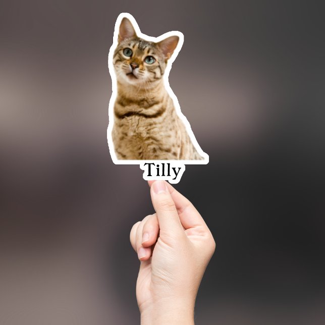 Aufkleber für die Haustiere, Aufkleber für den eig (Von Creator hochgeladen)