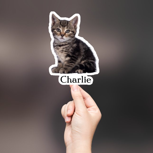 Aufkleber für die Haustiere, Aufkleber für den eig (Von Creator hochgeladen)