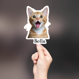 Aufkleber für die Haustiere, Aufkleber für den eig