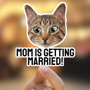 Aufkleber für die Katzenaufkleber für benutzerdefi