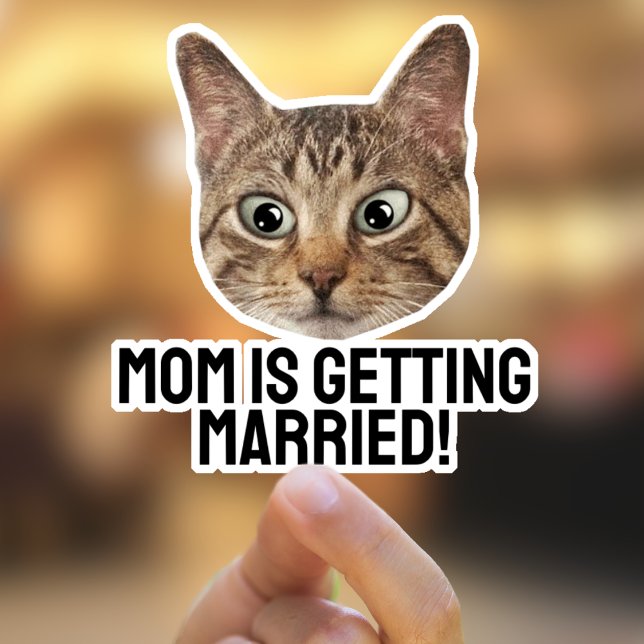 Aufkleber für die Katzenaufkleber für benutzerdefi (Von Creator hochgeladen)