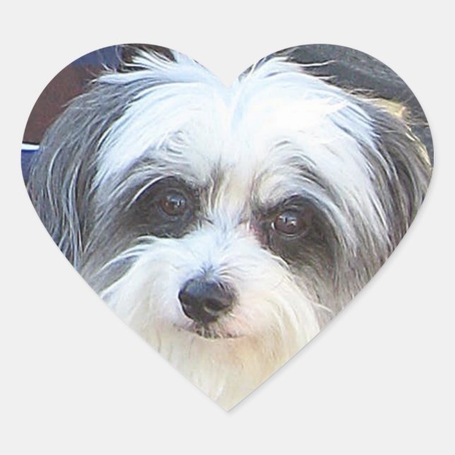 Aufkleber für die Liebe (Vorderseite)