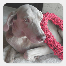 Aufkleber für die Liebe des Regens - Weimaraner-Hu