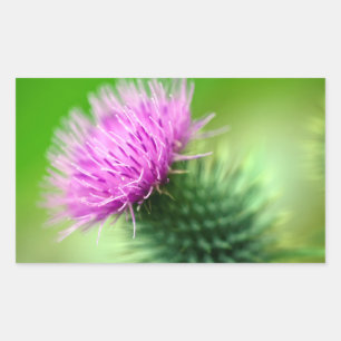 Aufkleber für die lila Blume