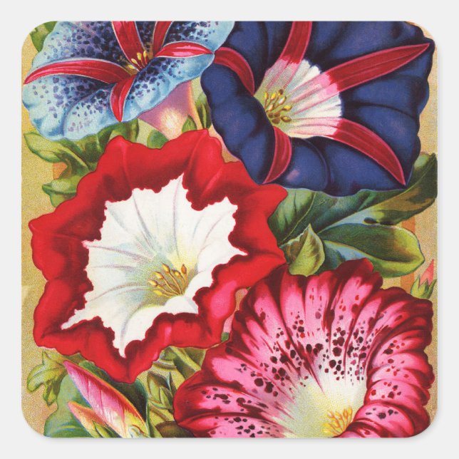 Aufkleber für die Morning Glories (Vorderseite)