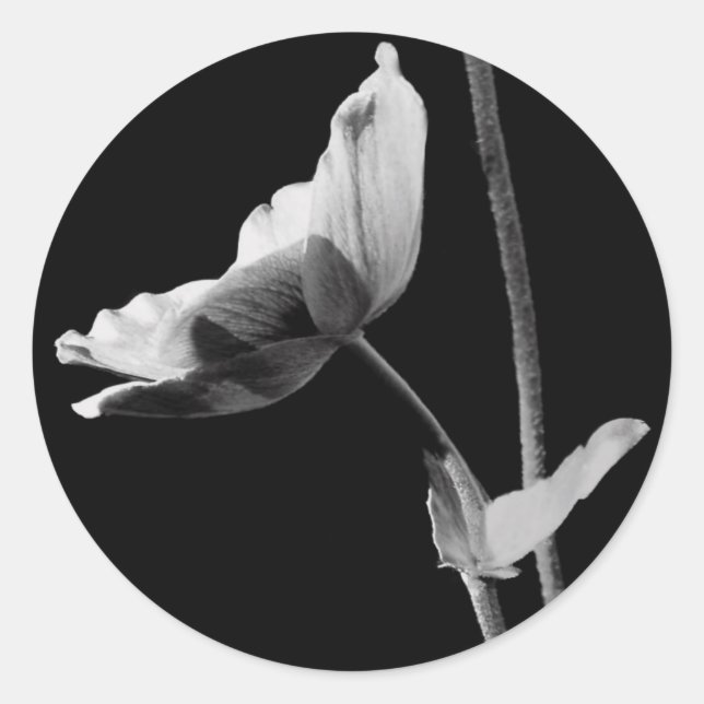 Aufkleber für die schwarze und weiße Blume (Vorderseite)