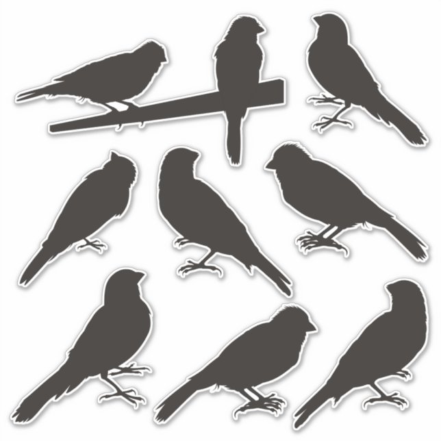 Aufkleber für die Silhouette Canary Bird (Vorderseite)