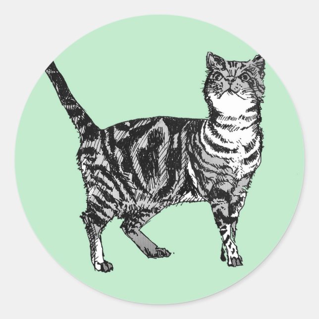 Aufkleber für die Tablette Niedliche Katzen Aufkle (Vorderseite)