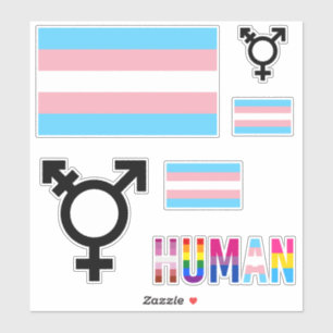 Aufkleber für die Transgender-Pride-Flagge