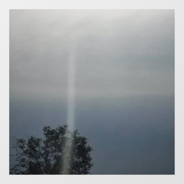 Aufkleber für die Wand coole Öko (Blatt)