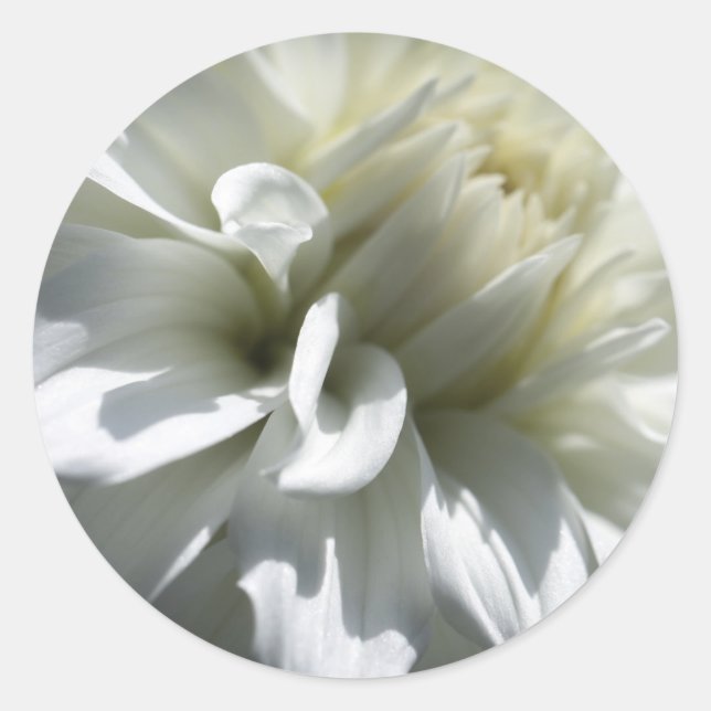 Aufkleber für die weiße Blume (Vorderseite)