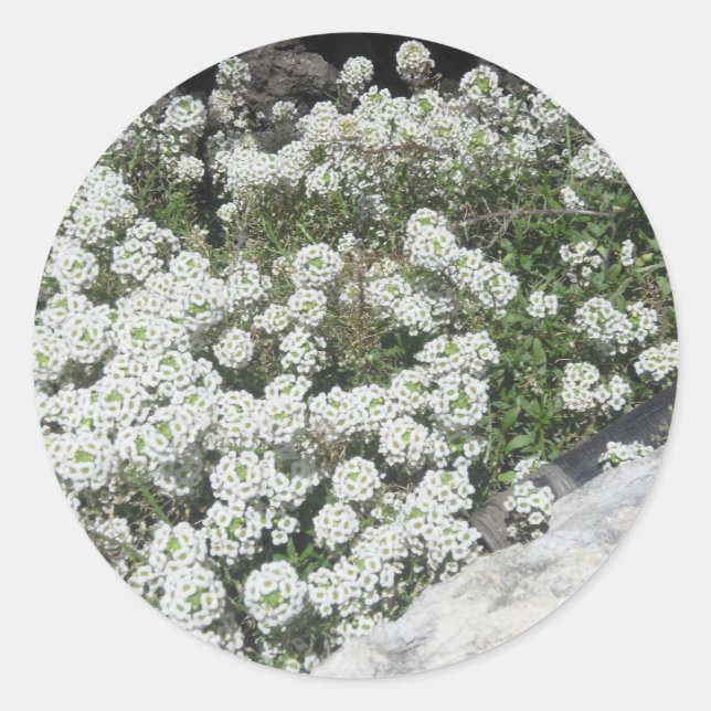 Aufkleber für die weiße Bodenabdeckung (Vorderseite)