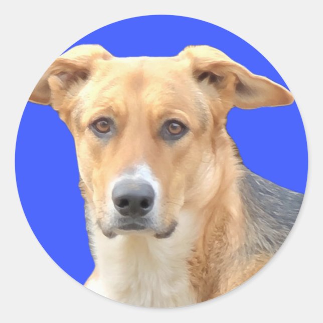 Aufkleber für Doggys (Vorderseite)