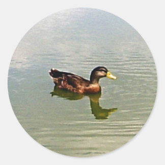Aufkleber für Enten-Umschlag Aufkleber