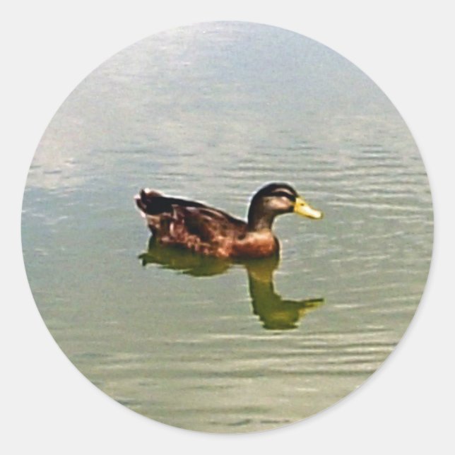 Aufkleber für Enten-Umschlag Aufkleber (Vorderseite)