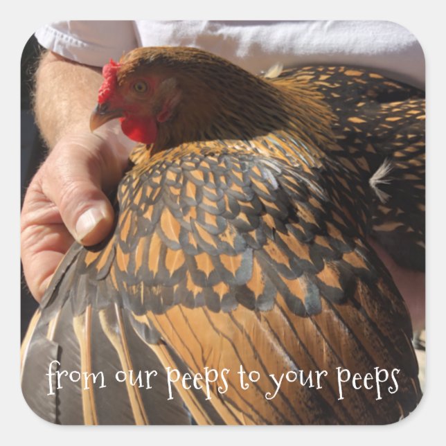 Aufkleber für frische Eier (Vorderseite)