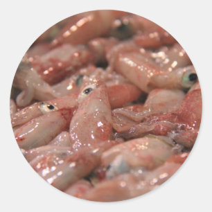 Aufkleber für frische Tintenfische