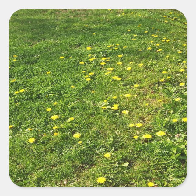 Aufkleber für Gras und Dandelion (Vorderseite)