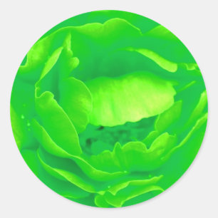 Aufkleber für grüne Rose - individuell anpassbar