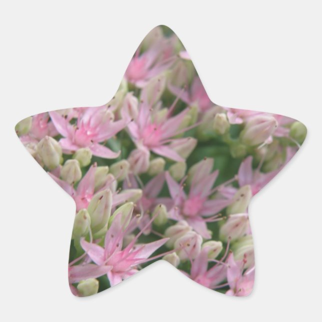 Aufkleber für hübsche tropische Blume (Vorderseite)
