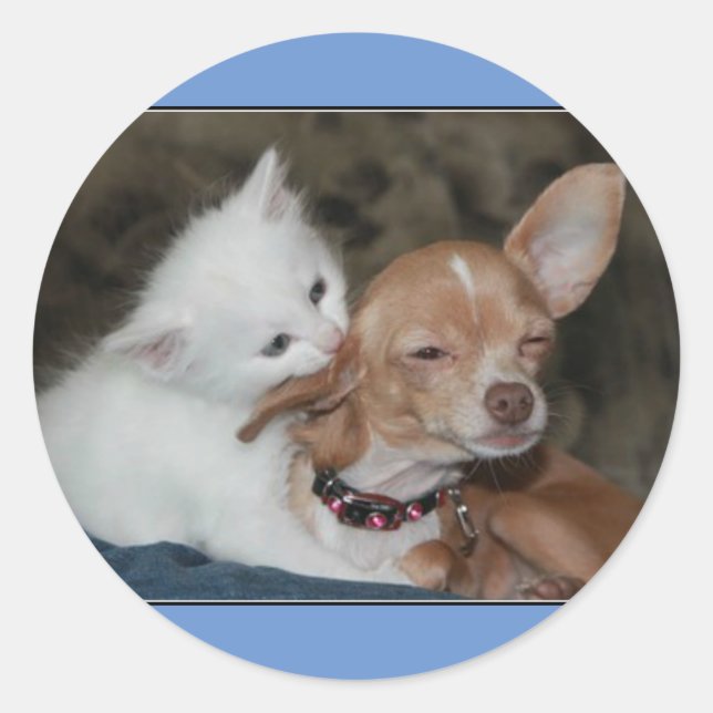 Aufkleber für Katzen/Hunde. (Vorderseite)