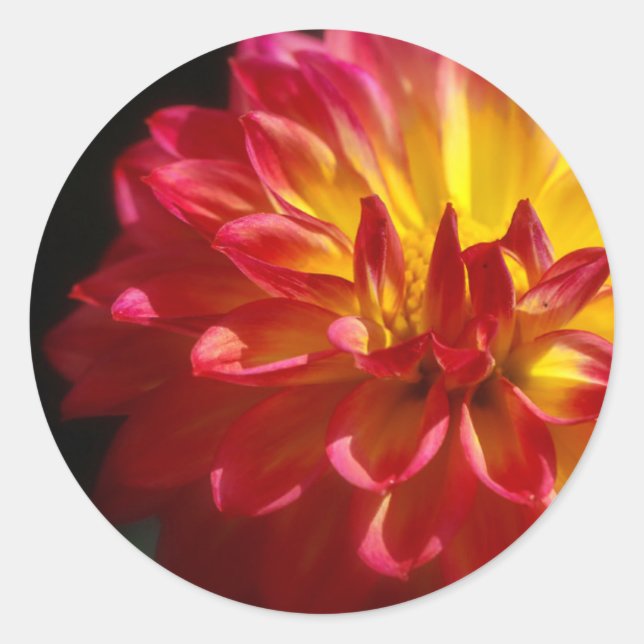 Aufkleber für lebendige Blume (Vorderseite)