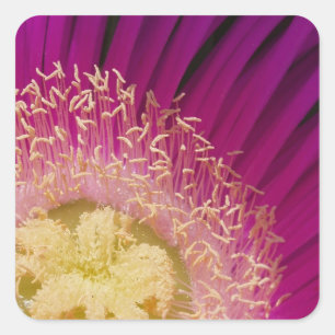 Aufkleber für lebendige Blume