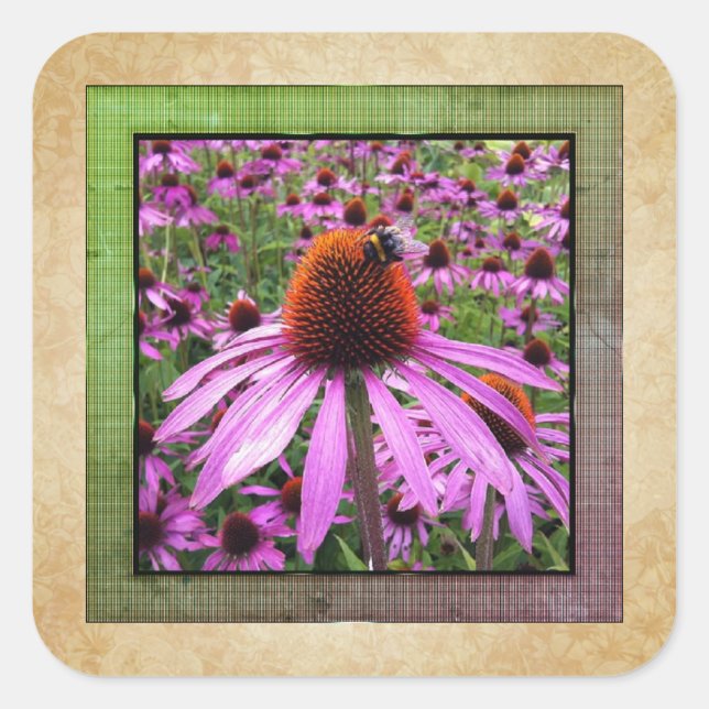 Aufkleber für lila Coneflower Echinacea-Wildblume (Vorderseite)