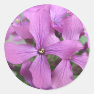 Aufkleber für lila Wildblumen