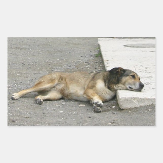 Aufkleber für müde Hunde, anpassen (Vorderseite)