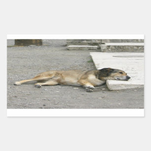 Aufkleber für müde Hunde, anpassen