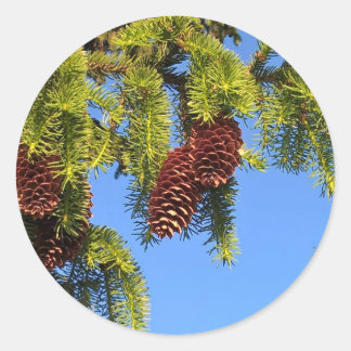 Aufkleber für Naturwald-Foto mit Ästen