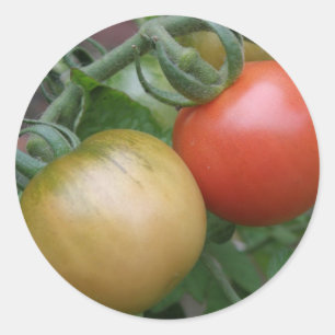 Aufkleber für Orangen und Rote Tomaten