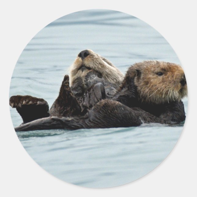 Aufkleber für Otter (Vorderseite)