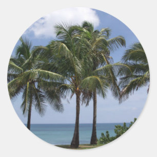 Aufkleber für Palmen