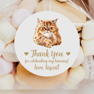 Aufkleber für persische Katzen-Gastgeschenk Hochze