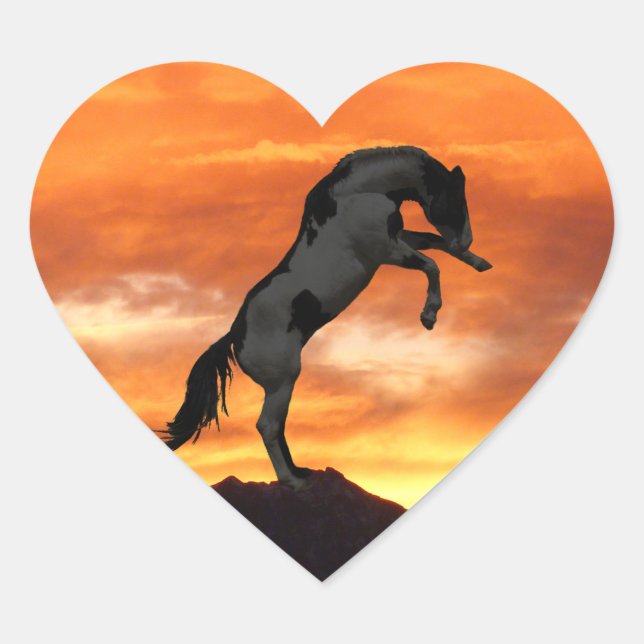 Aufkleber für Pferde (Vorderseite)