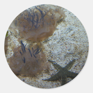 Aufkleber für Quallen