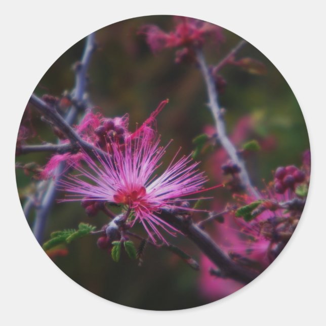 Aufkleber für Rosa-Feen (Vorderseite)