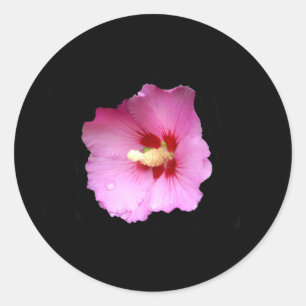 Aufkleber für rosa Hibisken