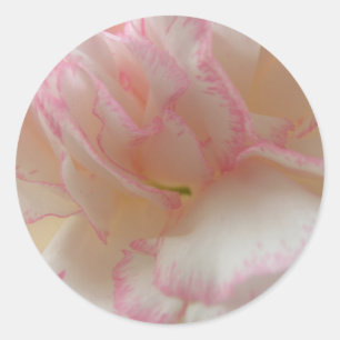 Aufkleber für rosa und weiße Narben