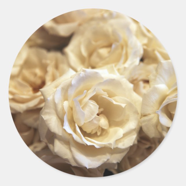 Aufkleber für Rose (Vorderseite)