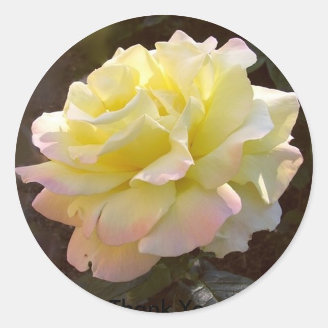 Aufkleber für Rose (Vorderseite)