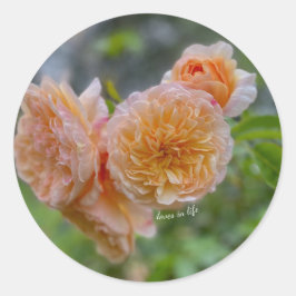 Aufkleber für Rose