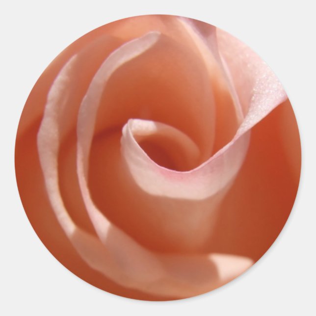 Aufkleber für Rose (Vorderseite)