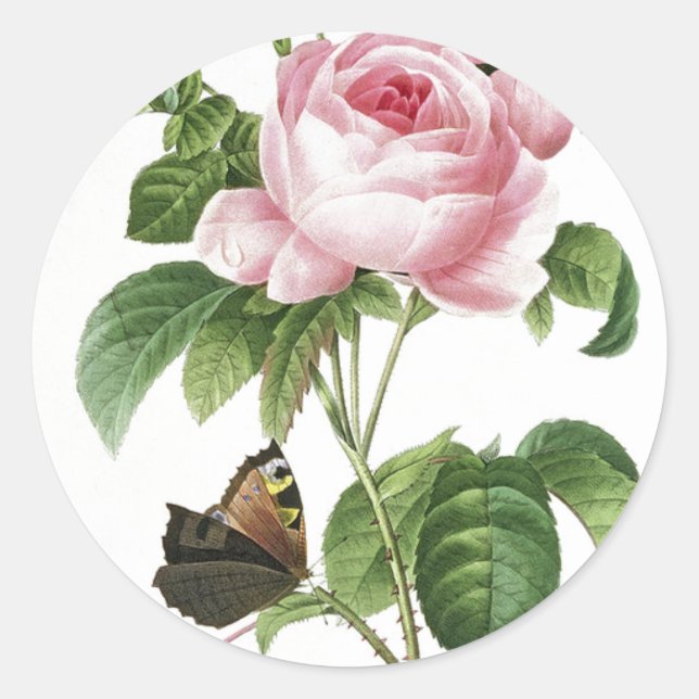 Aufkleber für Rosenschmetterlinge (Vorderseite)